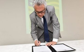 Governo de Goias edita lei de incentivos fiscais*