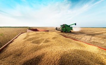 Safra de grãos 2019/2020 deve crescer 10,3% em Goiás