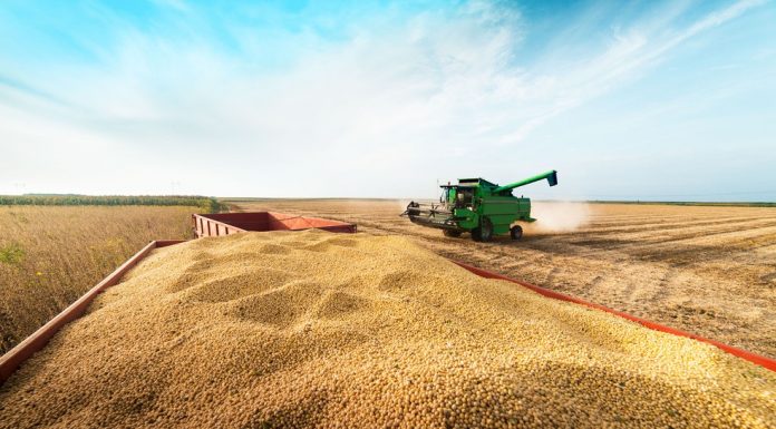 Safra de grãos 2019/2020 deve crescer 10,3% em Goiás