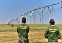 Semad alerta sobre falsos fiscais