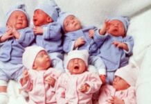 68 bebês nascidos com anticorpos para covid-19 em Minas Gerais