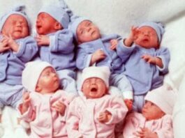 68 bebês nascidos com anticorpos para covid-19 em Minas Gerais