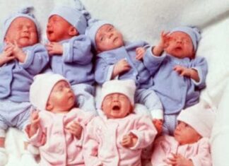 68 bebês nascidos com anticorpos para covid-19 em Minas Gerais