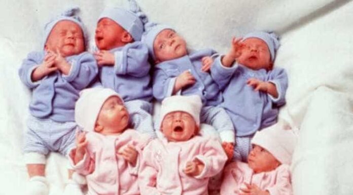 68 bebês nascidos com anticorpos para covid-19 em Minas Gerais