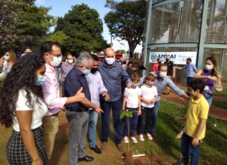 Prefeitura de Itumbiara faz plantio de árvores, na Semana do Meio Ambiente