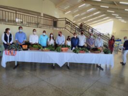 Prefeitura de Itumbiara lança programa Colheita da Horta do Bem