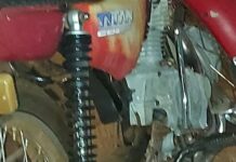 Cobra cascavel é encontrada dentro de casa, em Itumbiara