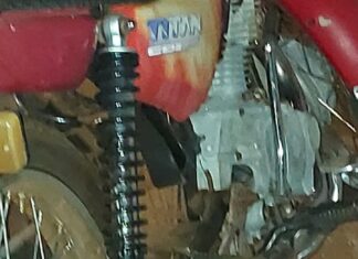 Cobra cascavel é encontrada dentro de casa, em Itumbiara