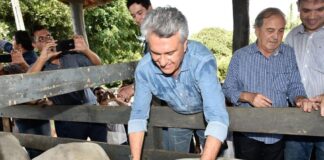 Prorrogado para 11 de dezembro, o prazo para vacinação contra aftosa e raiva.