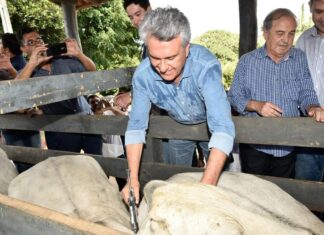 Prorrogado para 11 de dezembro, o prazo para vacinação contra aftosa e raiva.