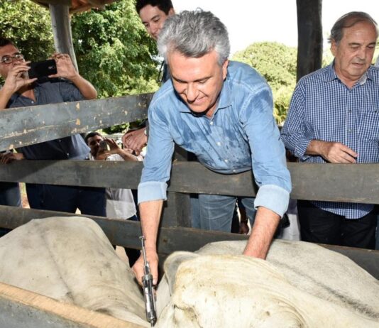Prorrogado para 11 de dezembro, o prazo para vacinação contra aftosa e raiva.