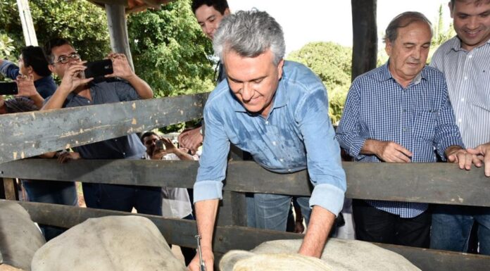 Prorrogado para 11 de dezembro, o prazo para vacinação contra aftosa e raiva.