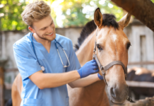 Saiba as 6 profissões que mais apaixonam e chamam atenção das mulheres