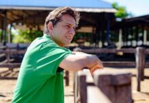 Governo de Goiás certifica fazendas livres de brucelose e tuberculose