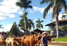CAVALGADA MOVIMENTA A CIDADE DE PANAMÁ NA 5ª FESTA DO PEÃO E 2ª FEIRA AGROINDUSTRIAL