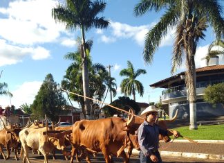 CAVALGADA MOVIMENTA A CIDADE DE PANAMÁ NA 5ª FESTA DO PEÃO E 2ª FEIRA AGROINDUSTRIAL