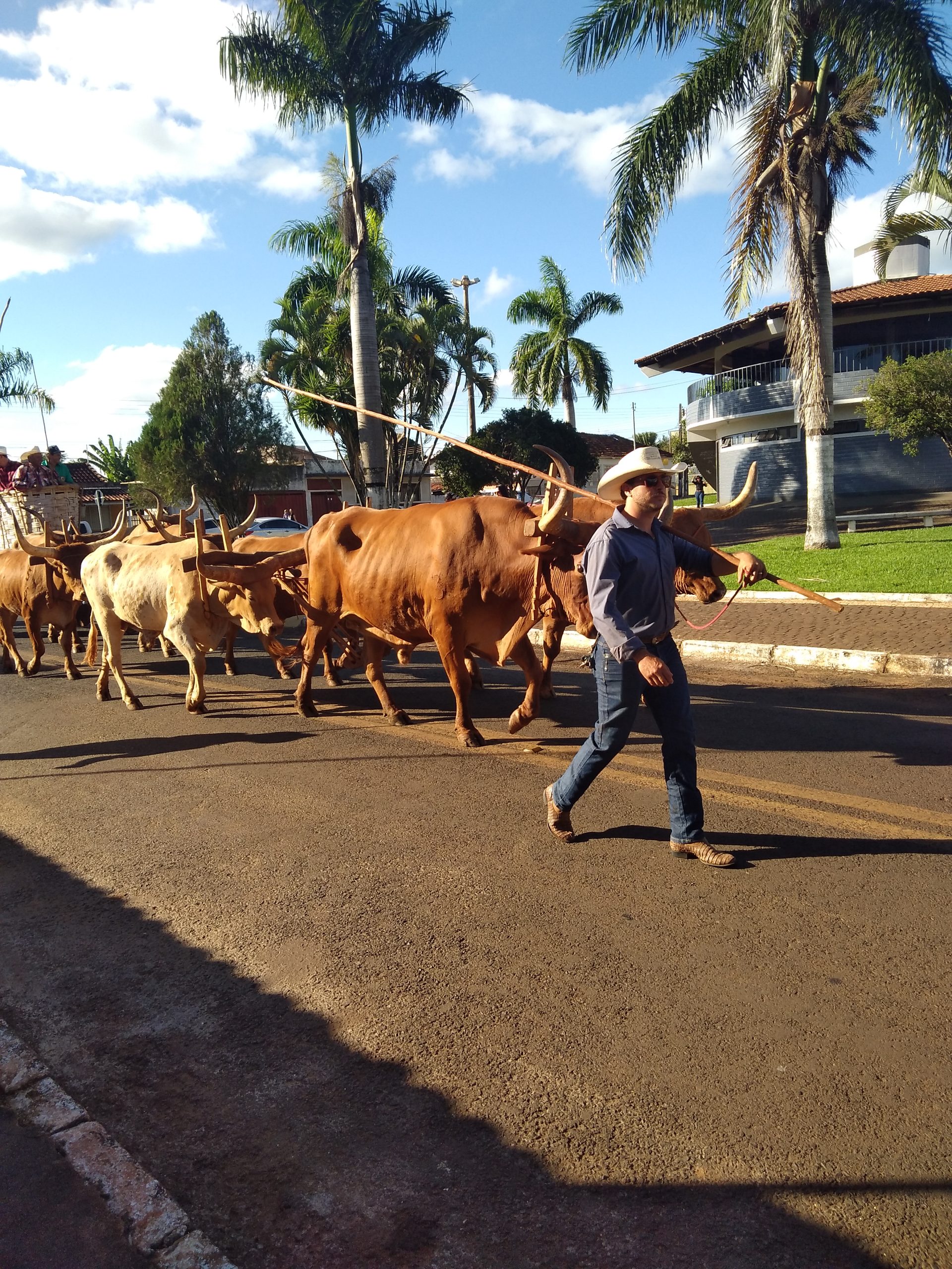 CAVALGADA MOVIMENTA A CIDADE DE PANAMÁ NA 5ª FESTA DO PEÃO E 2ª FEIRA  AGROINDUSTRIAL - Jornal Cidades - um Jornal de Verdade